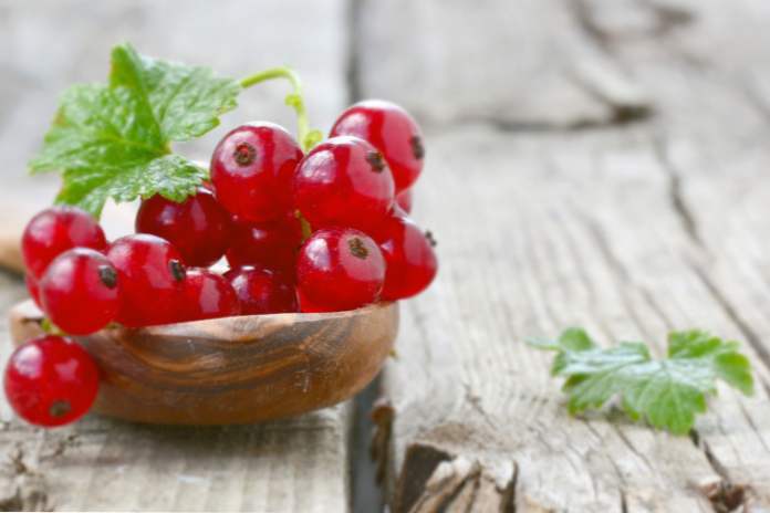 Дієта на ягодах як схуднути на 5 кілограмів за тиждень (здоров'я)