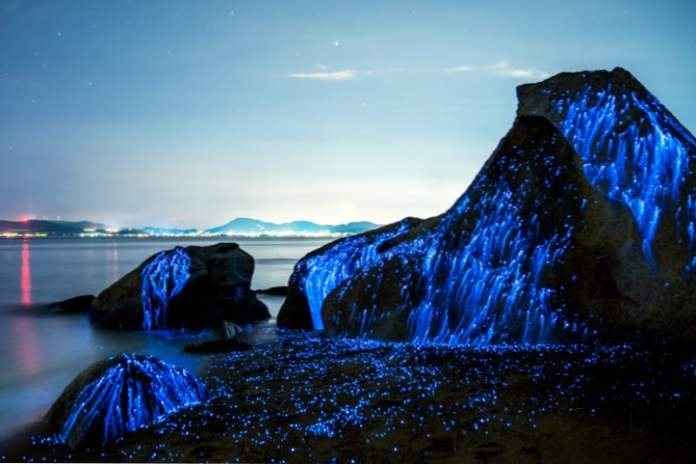 Nevjerojatne stijene pronađene u Japanu koje "plaču" plave suze (fotografija) (zabava)