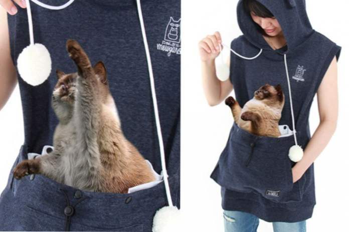 Teraz jest zawsze z tobą w Japonii wymyślił ubrania z przewoźnikiem dla kotów (Rozrywka)