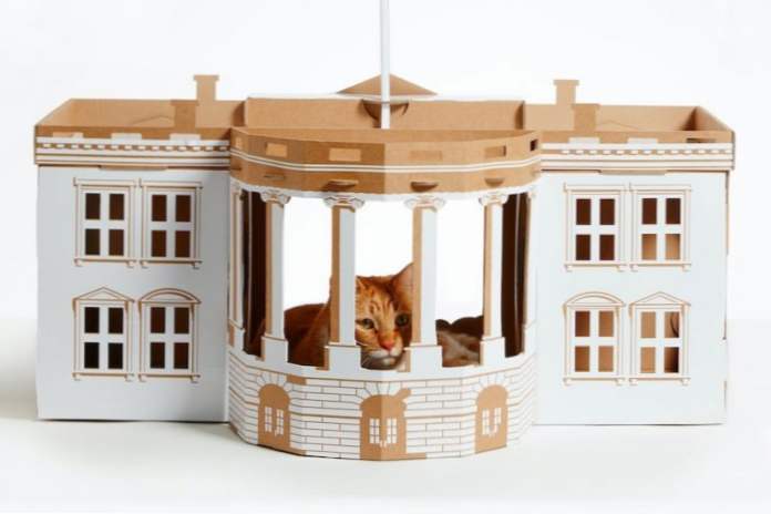 W Holandii zaczął robić domy dla kotów w formie arcydzieł architektury (Rozrywka)
