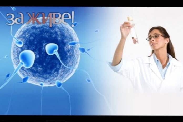 Toksoplazmoza tijekom trudnoće - Zapravo STB gledati online - 2015/197 (video) (zdravlje)